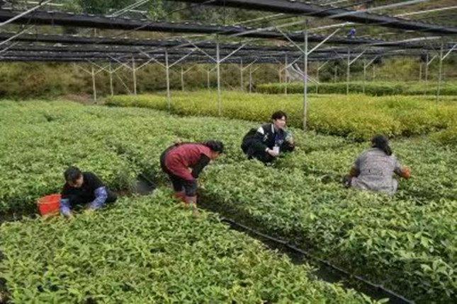 内 b5aad298f2354a16d3_副本.jpg 内 b5aad298f2354a16d3_副本.jpg