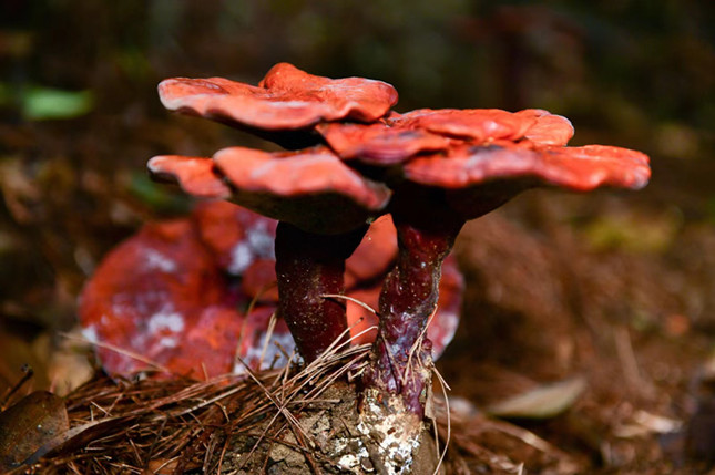 内 35d1ed8a84d23938a67_副本.jpg 内 35d1ed8a84d23938a67_副本.jpg