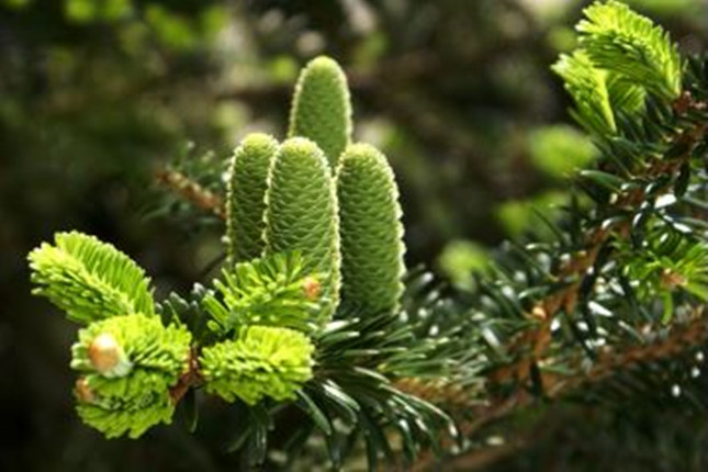 nei 34003afb374_副本.jpg nei 34003afb374_副本.jpg