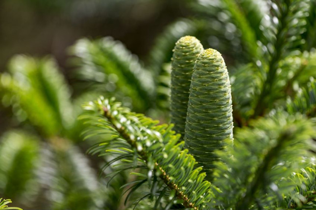 nie 12e1bf82ff_副本.jpg nie 12e1bf82ff_副本.jpg