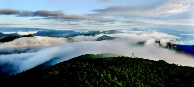 nie acfe08556fd7_副本.jpg nie acfe08556fd7_副本.jpg