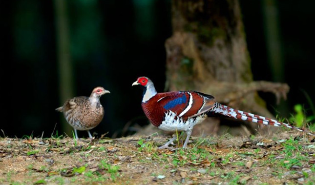 nie 766bef1707e_副本.jpg nie 766bef1707e_副本.jpg