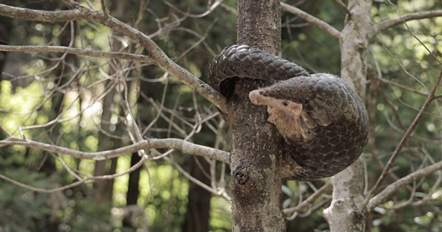 nei 484422aa5_副本.jpg nei 484422aa5_副本.jpg