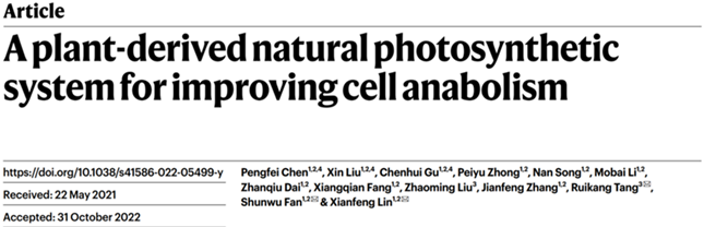 nei 9143111_副本.png nei 9143111_副本.png