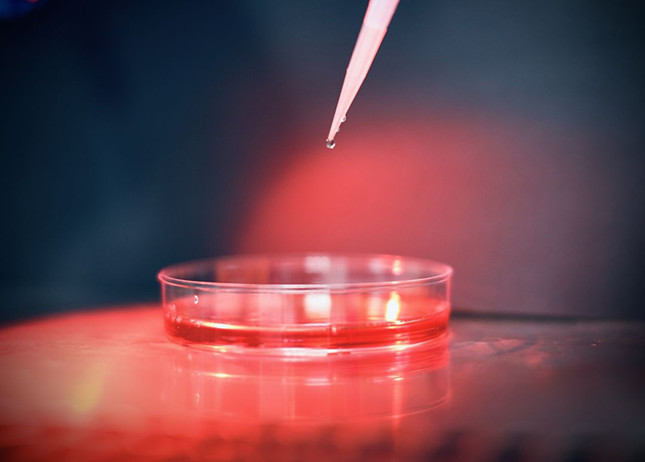 nei 3436_副本.jpg nei 3436_副本.jpg