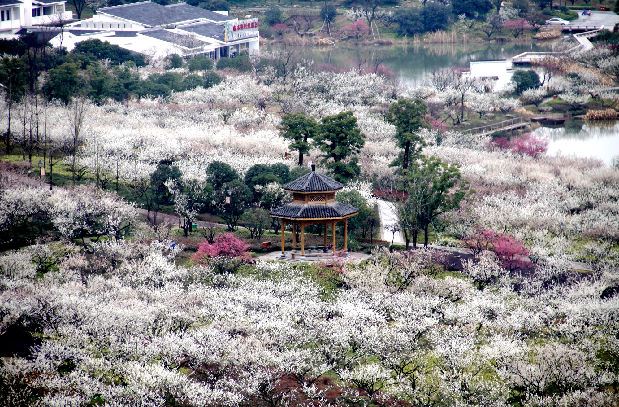 1723393343_副本.jpg 1723393343_副本.jpg