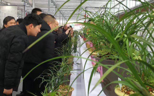 2641637355aa716d0b51cc1b92162c2.jpg 2641637355aa716d0b51cc1b92162c2.jpg