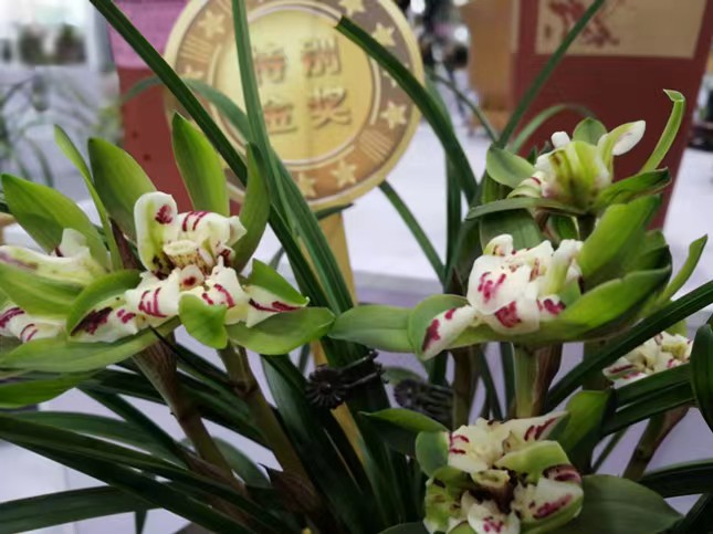 a7b432d71f4dfcb8451e9c4157f0208.jpg a7b432d71f4dfcb8451e9c4157f0208.jpg