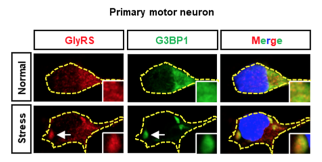 内 08122648_副本.png 内 08122648_副本.png