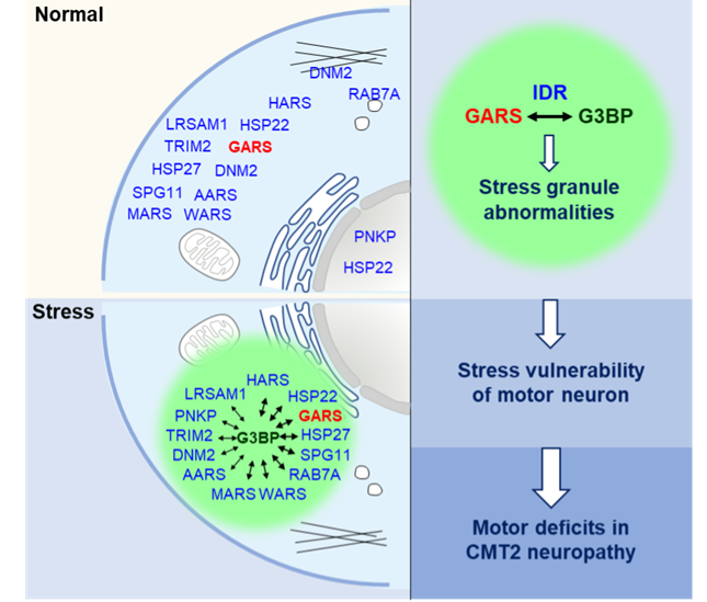 内 208123606_副本.png 内 208123606_副本.png