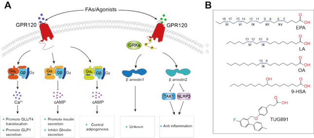 内0303112217_副本.png 内0303112217_副本.png