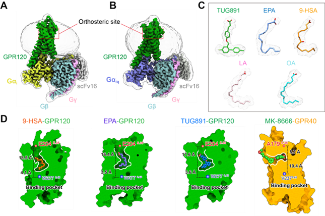 内 0303112557_副本.png 内 0303112557_副本.png
