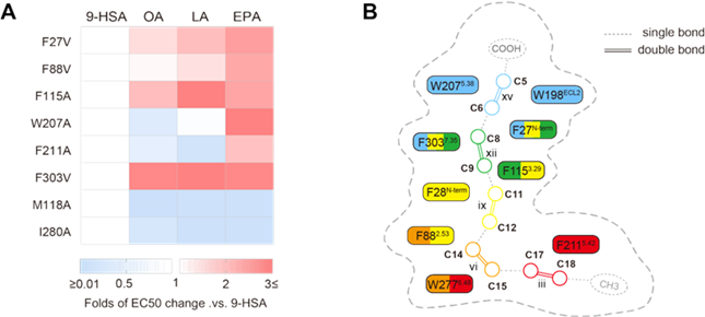 内 303112721_副本.png 内 303112721_副本.png