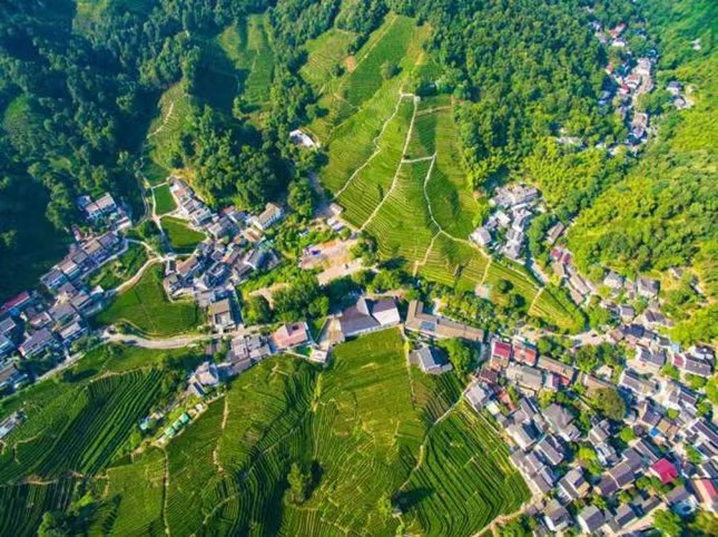 fb6be8effe476b94bc661722a057334.jpg fb6be8effe476b94bc661722a057334.jpg