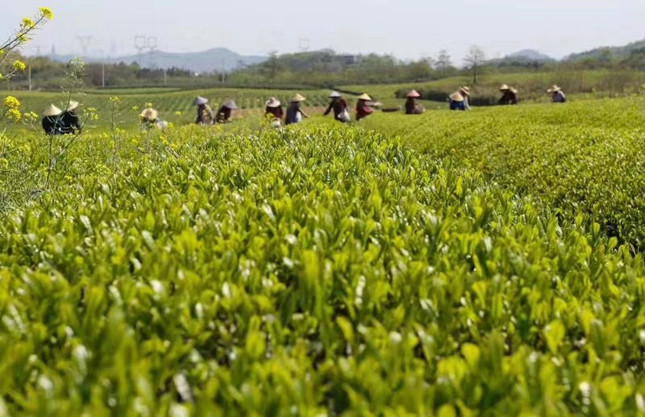 内 ab4358b01da88cf_副本.jpg 内 ab4358b01da88cf_副本.jpg