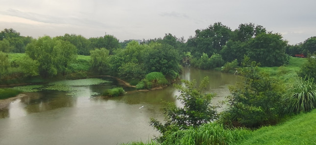 内 8cca30ad70cef97_副本.jpg