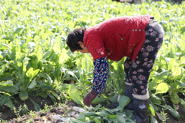 nei 6ca7276c71_副本.png nei 6ca7276c71_副本.png