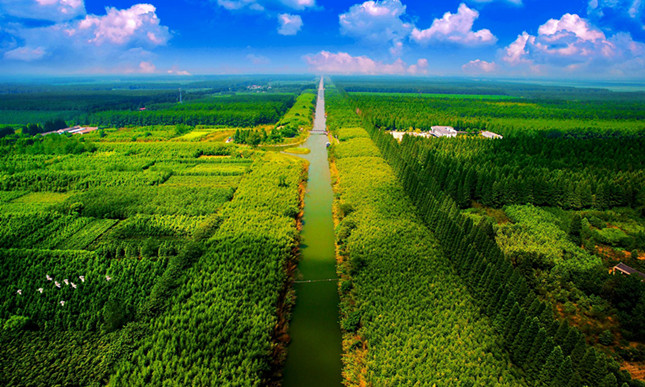 内 林公园3的副本_副本.jpg 内 林公园3的副本_副本.jpg