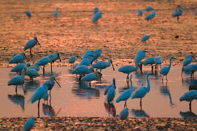 内 明拍摄1的副本_副本.jpg 内 明拍摄1的副本_副本.jpg