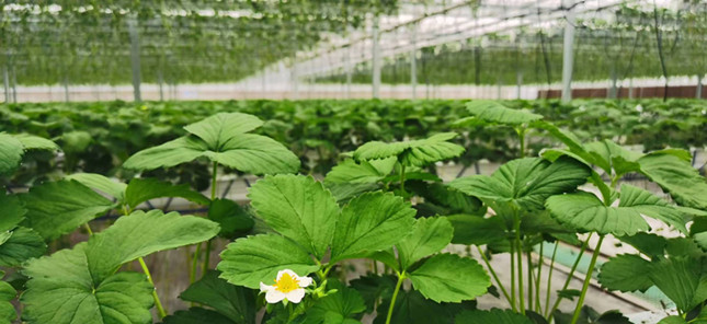 nie f30f04e5c_副本.jpg nie f30f04e5c_副本.jpg