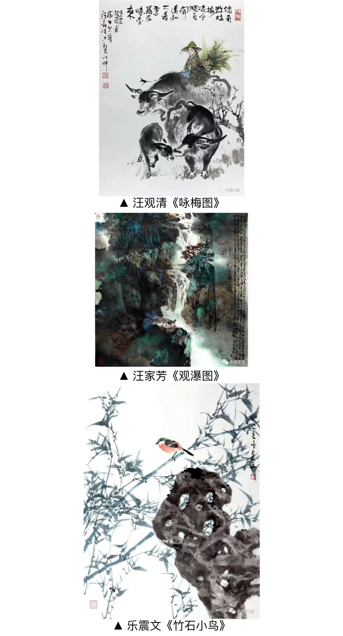 2072502442.jpg 2072502442.jpg