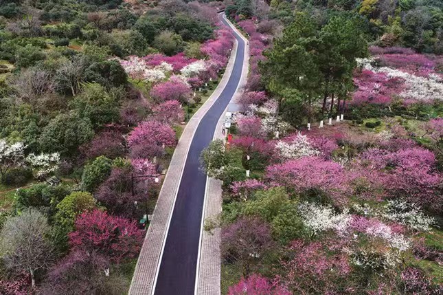 ab2f067929d63f81197cfd15893324c.jpg ab2f067929d63f81197cfd15893324c.jpg