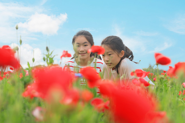 内 761c76e3108da9c_副本.jpg 内 761c76e3108da9c_副本.jpg