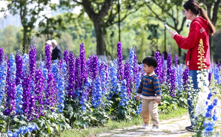 big (2).jpg big (2).jpg