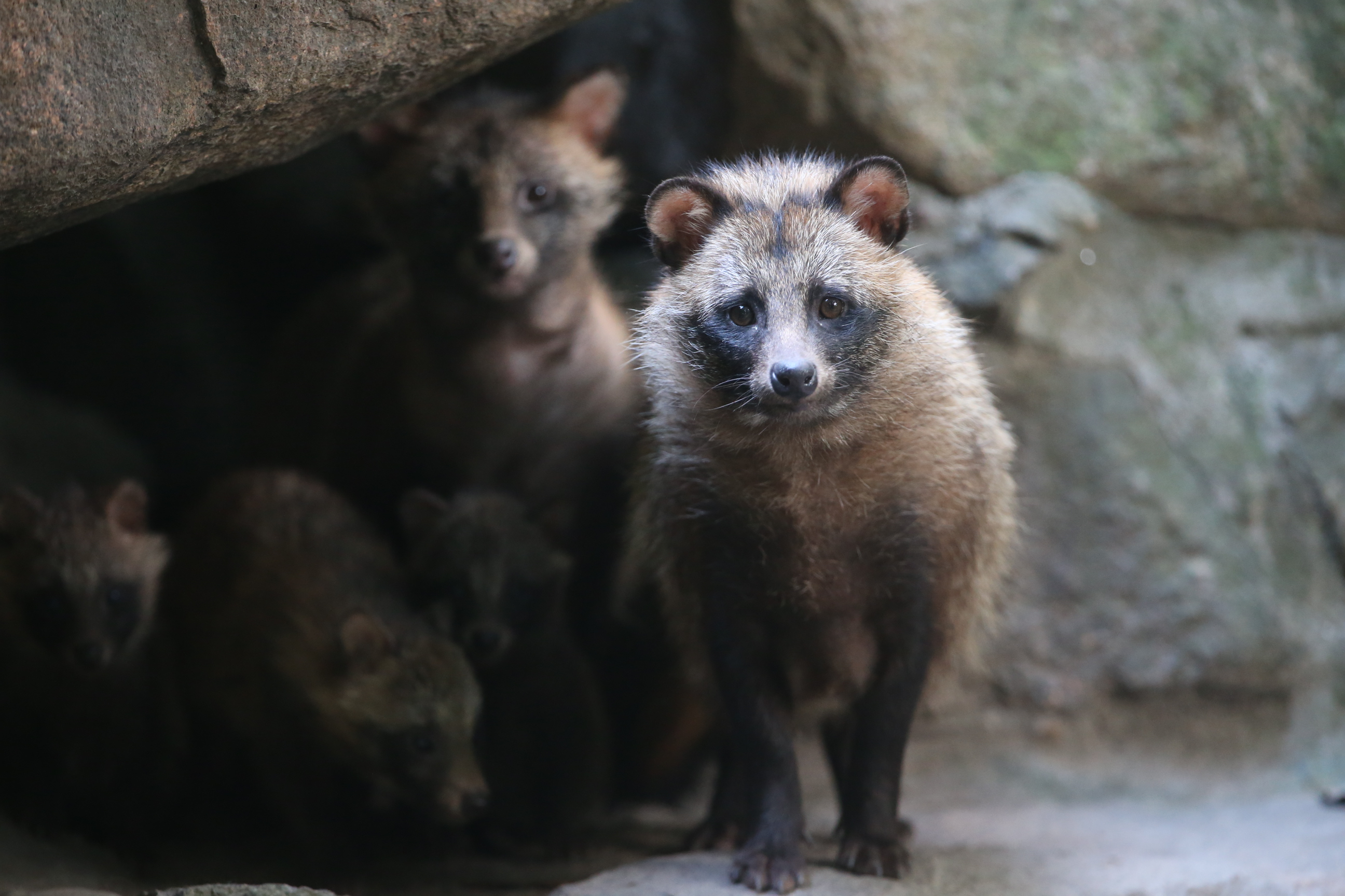 WechatIMG1928.jpeg WechatIMG1928.jpeg