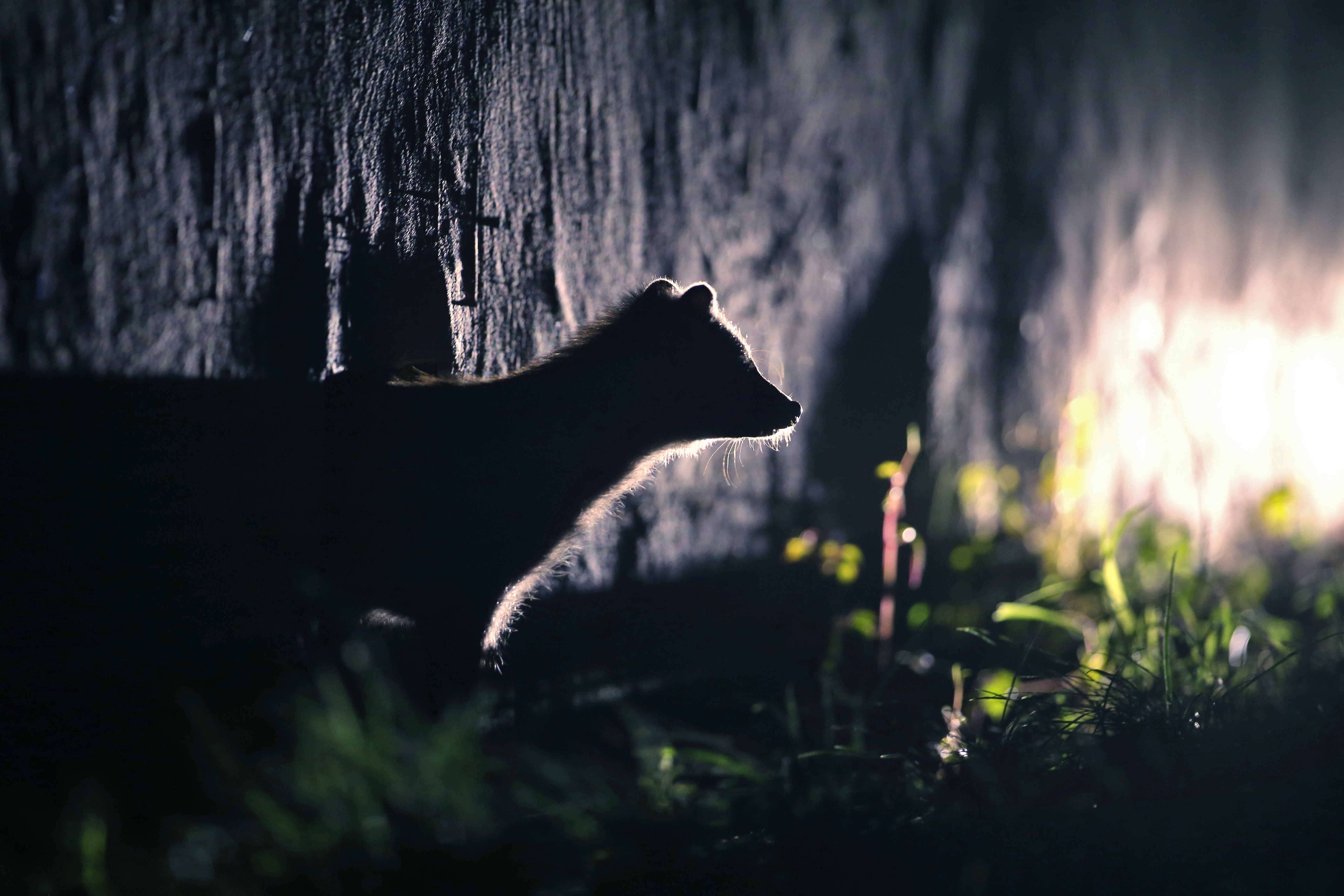 WechatIMG1927.jpeg WechatIMG1927.jpeg