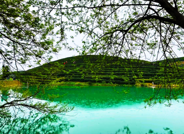 内 f2f5b72175afdf_副本.png 内 f2f5b72175afdf_副本.png