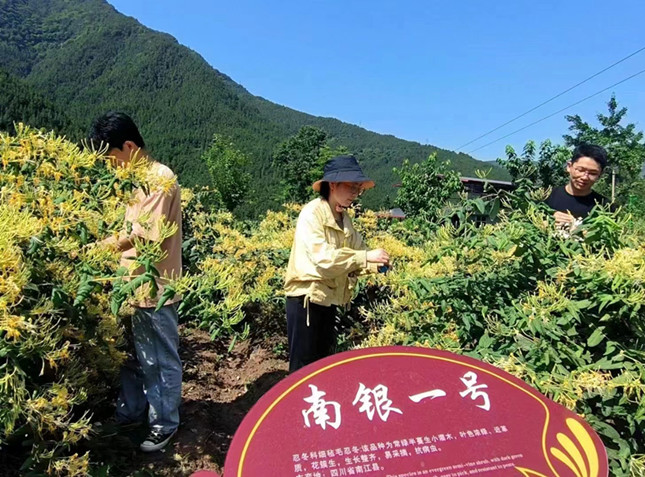 nei 7f600866fbf3_副本.jpg nei 7f600866fbf3_副本.jpg