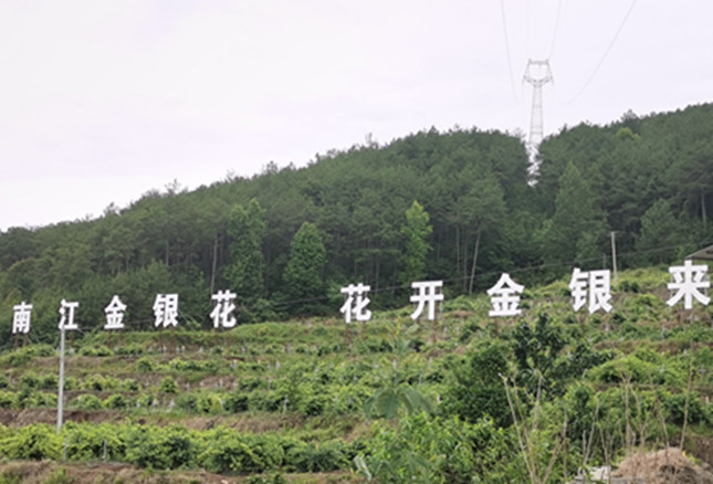 nei 8306b8_副本.jpg nei 8306b8_副本.jpg