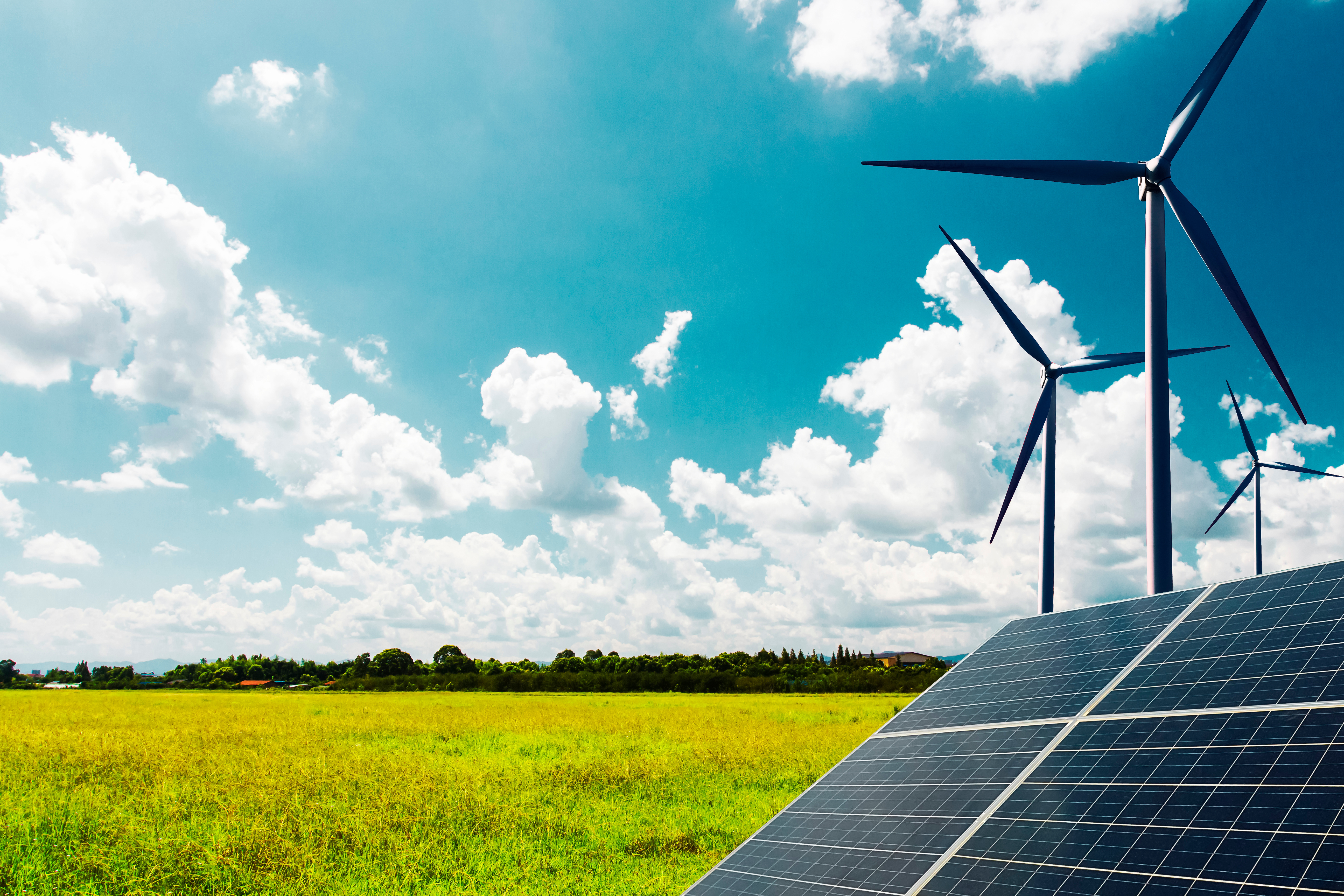 970708934465421334.jpeg 970708934465421334.jpeg