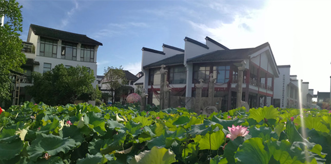 nei 65b71d88_副本.jpg nei 65b71d88_副本.jpg