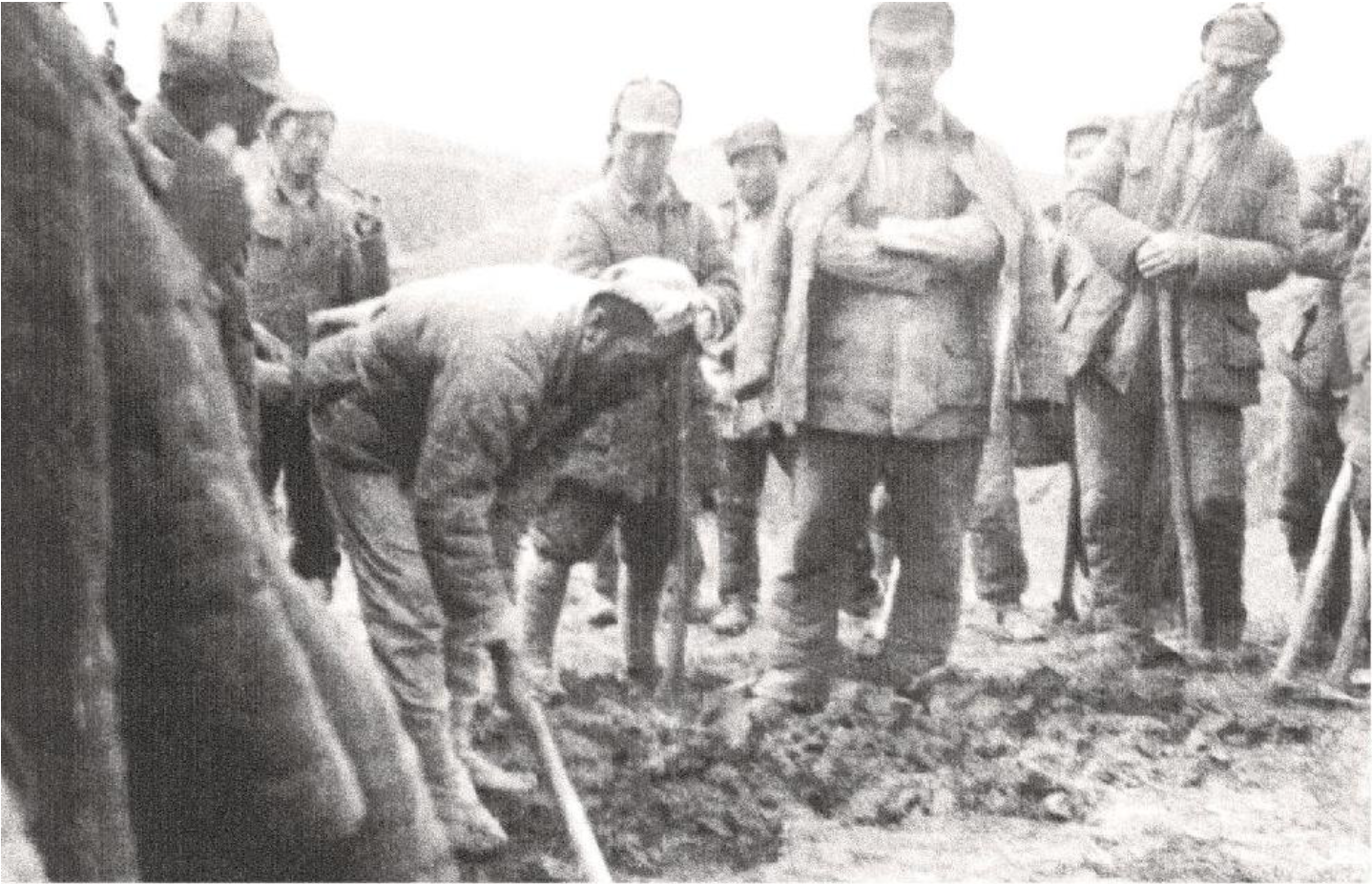 屏幕快照 2023-08-01 08.49.30.png