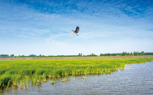 640 (3)_副本.png 640 (3)_副本.png