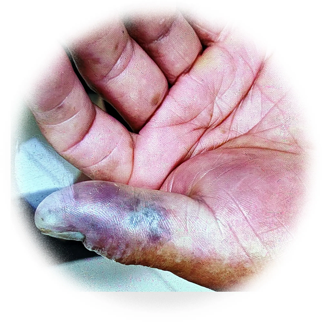 nei d0130e4d804c_副本.png nei d0130e4d804c_副本.png