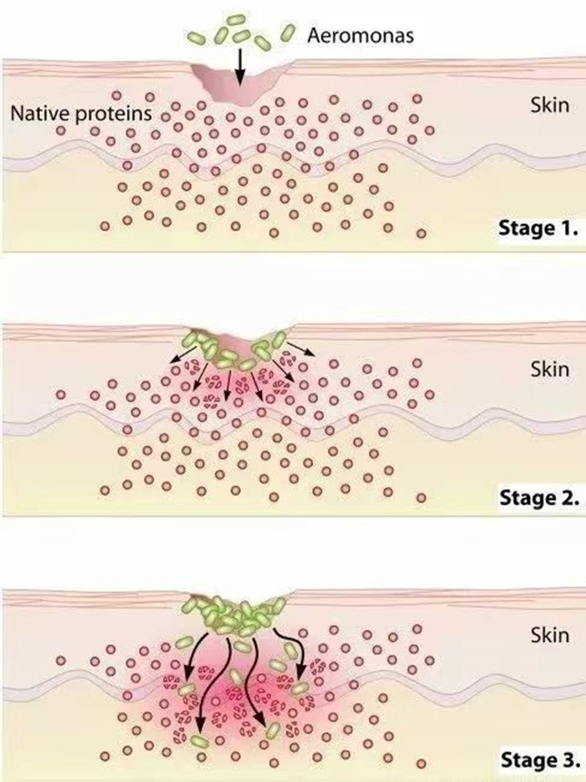 nie fe591b61e4_副本.jpg nie fe591b61e4_副本.jpg
