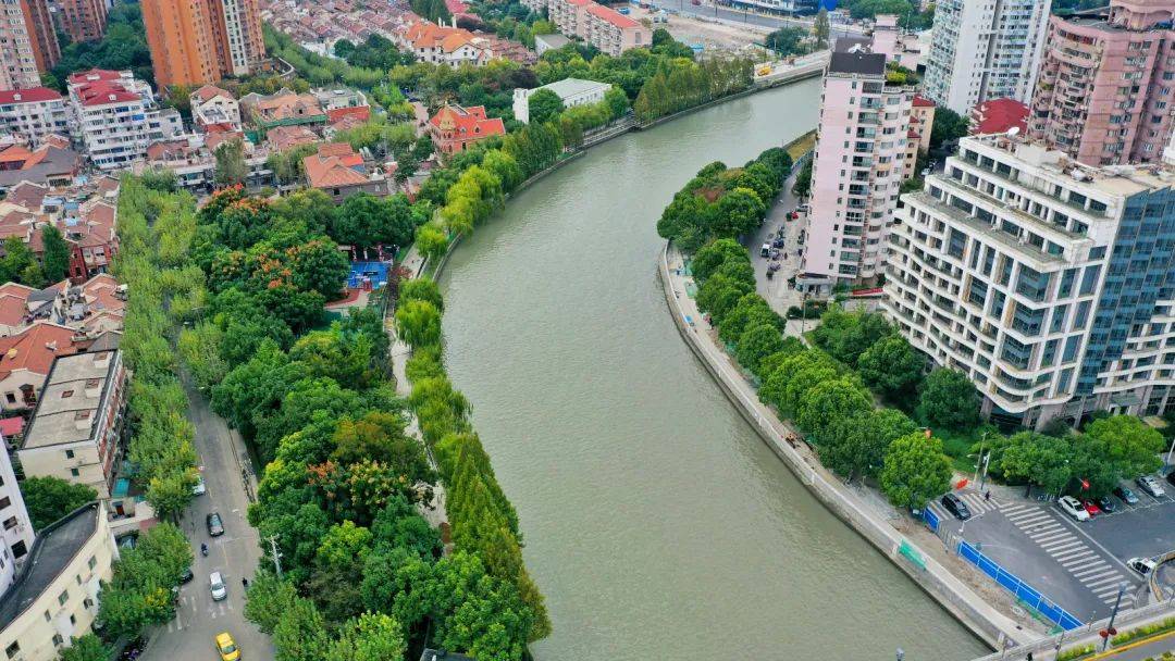 水清岸绿的苏河湾  微信公众号“上海住房城乡建设管理” 图.jpeg