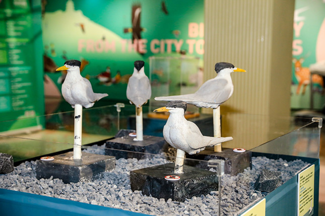 内 27161425_副本.jpg 内 27161425_副本.jpg