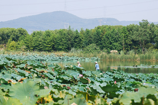 内 5b1b84eb45c28c9_副本.jpg 内 5b1b84eb45c28c9_副本.jpg